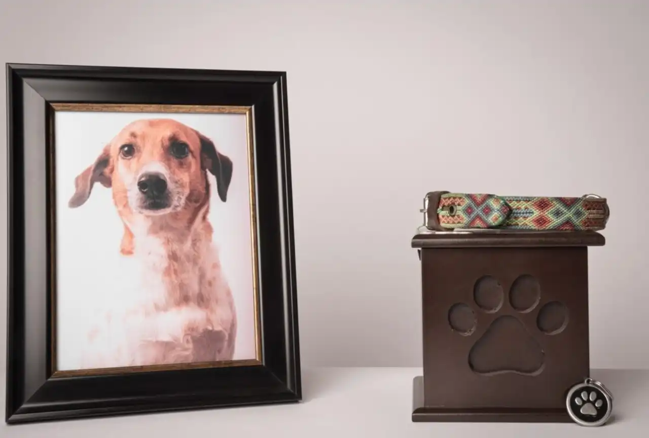 Pet memorial urn beside a framed dog portrait, collar and paw-print tag
